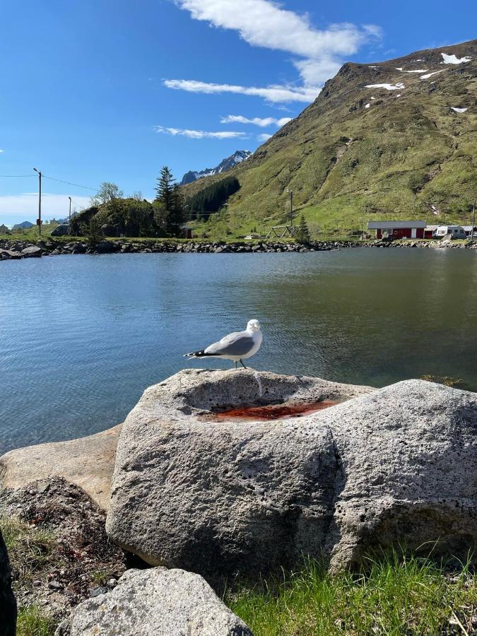Brustranda Fjordcamping Valberg Exterior foto